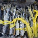 영덕청어과메기영어조합 이미지