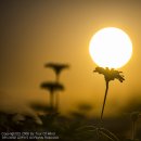 (주)너나우리 이미지