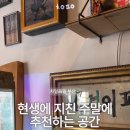 옴싸우스 이미지