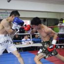 용인대 탑 복싱 이미지