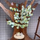 밀실 | 한여름인데 겨울 산에 조난당한 기분? 밀실 추리 스릴러 연극 '원죄' 후기