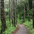 한라수목원 이미지