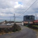 세화 엘라 이미지