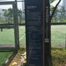 청라 문화1공원(녹청공원) 풋살장 이미지