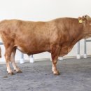 경상북도 축산기술연구소 이미지