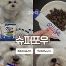 슈퍼멍 | 저칼로리 강아지간식 “슈퍼포우짜먹는하루요거트” 3가지 활용법 후기