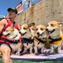 남매펜션 이미지