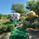 영천한의마을 약초도 이미지