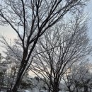 행정사 사무소 고래 이미지