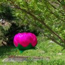 불자의집 이미지