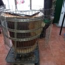 화신반점 이미지