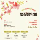 안산벚꽃음악회 이미지