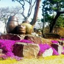 큰소나무농장 이미지