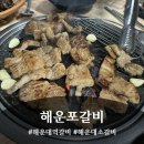 해운대조은동물병원 | [부산_해운대] 갈비 어디로 갈까 고민된다면? 무조건 여기! [해운포갈비] 솔직 후기