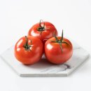 토마토 이미지