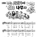 (주)시냇가에심은나무 이미지