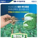 영일광고 - 군산시 문화2길 50 | 영일광고