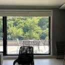 포레스트 G2 이미지