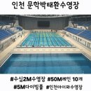 인천광역시 문학박태환수영장 다이빙풀 이미지