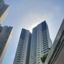 수성월드 이미지