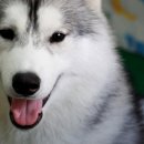 몽몽이# 이미지