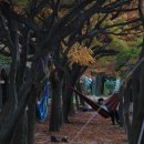 순창농원
