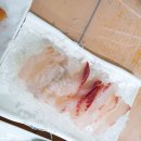 오후소주방 티스토리