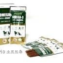 케이메딕스 이미지