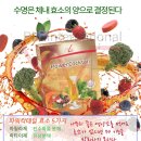 독일피엠카페