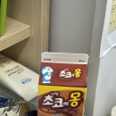 봄이 이미지