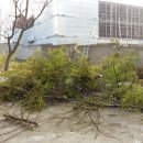 사강우체국 이미지