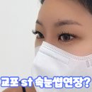 가성비 좋은 고퀄리티 시술 강남 속눈썹펌 신논현속눈썹 하니뷰