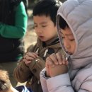 초안산 유아숲체험장 이미지