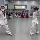 용인대 키즈 태권도 이미지