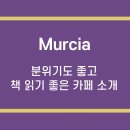 디마드 이미지