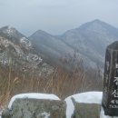 코아항공여행사 이미지