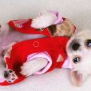 사곡1구마을회관 이미지