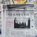 휴게임장 | 서울임장여행 - 부의 상징 도곡동 '타워팰리스' Feat. 파리크라상