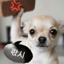 주차장매점