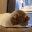 아이메듀타워 이미지