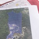 전원사슴농장 이미지