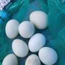 오늘의 선물 이미지