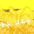 삼삼떡방앗간 이미지