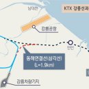 동해센타 이미지