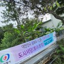 서주길(와룡면) 이미지