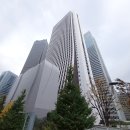 금빛해바라기 주식회사 | 빈센트 반 고흐 해바라기 : 솜포미술관