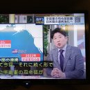 카멜리아 이미지