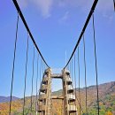 충북 증평 좌구산/벨포레리조트 (&#39;25.11.9~10) 이미지