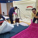 대피소 울릉 이미지