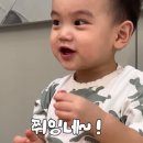 브이엑트 | #74_이모저모🚶🏻‍♀️